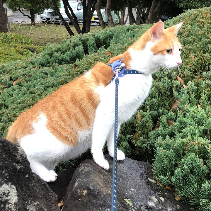 F51578ee a6fd 433e 8903 941764e017a5 1544078535381