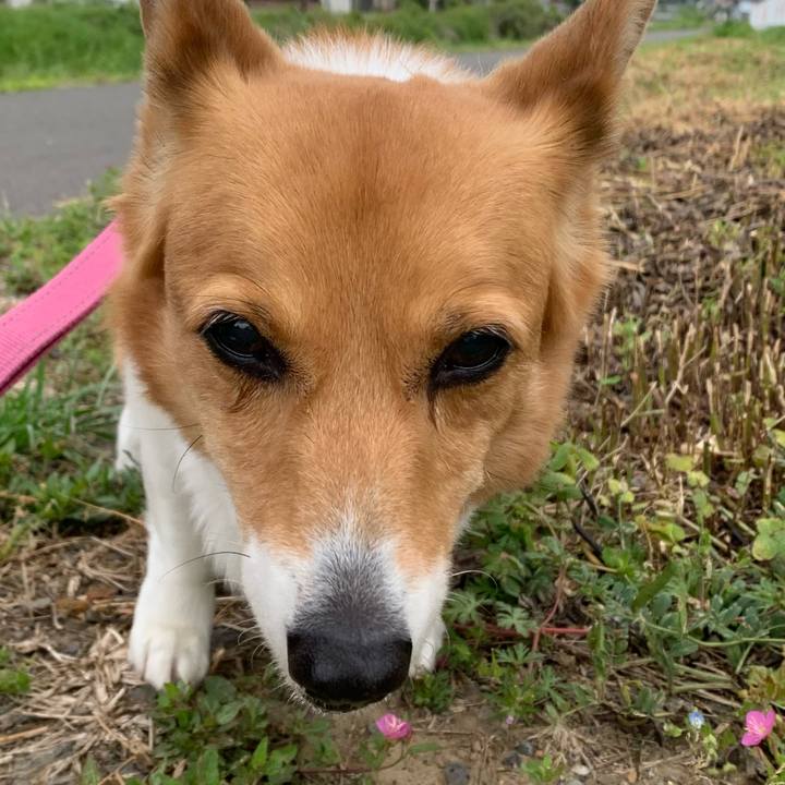 F515de00 0ce4 4ca0 ab6b b1510aae0bc2 1682851096746