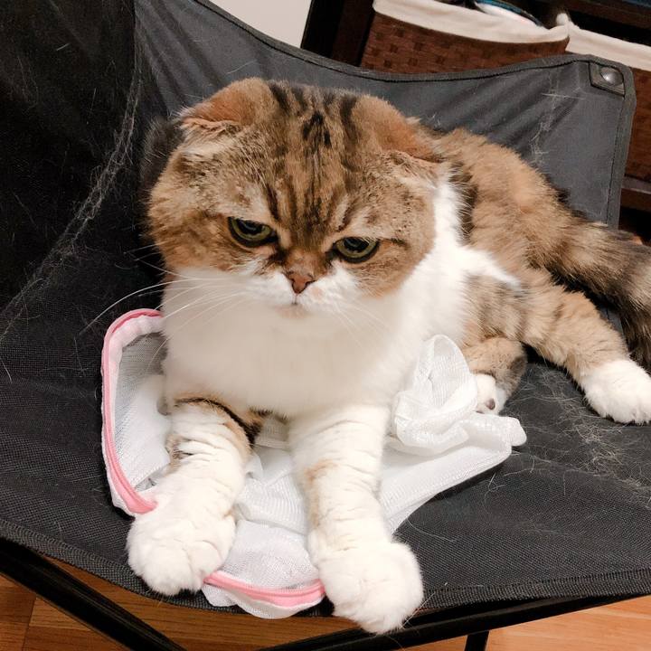 F516017d 66e3 4be1 91b0 7c5695f9b68b 1565353885660