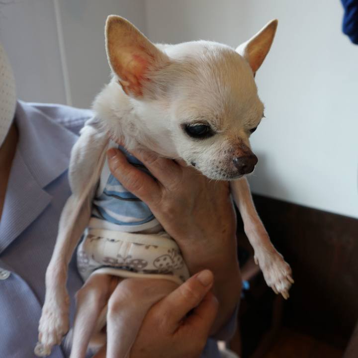 F5162648 1236 4484 a4eb 530c5ad71e2e 1594007537053