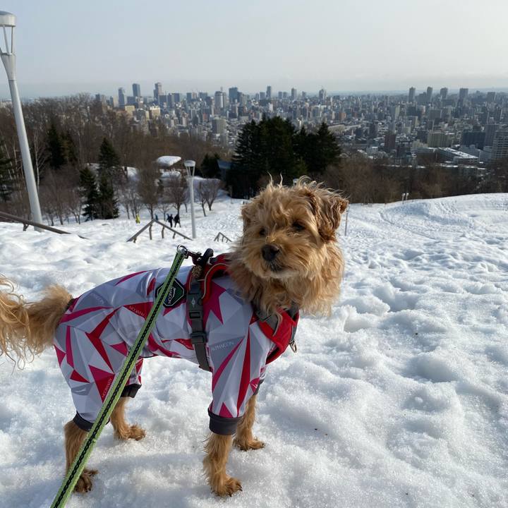 F5162cd1 9cc4 41e2 b4c1 fa68b03bb00b 1678590203746