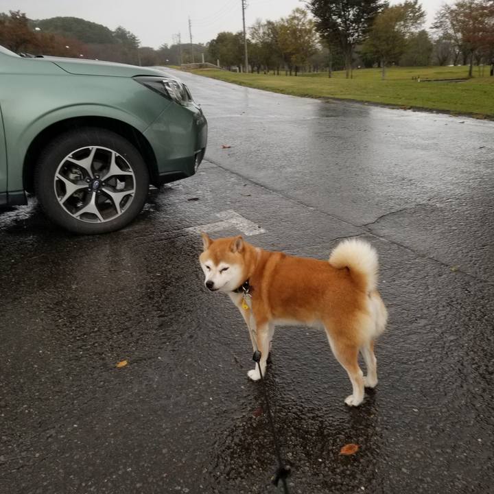 F5163e6c 62c1 4b1b 98a6 d2fc628c8da6 1634967804912