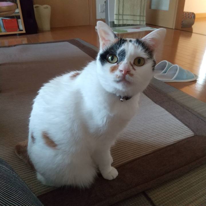 F516421a b0be 4139 aff3 dec982cae24c 1591784155568