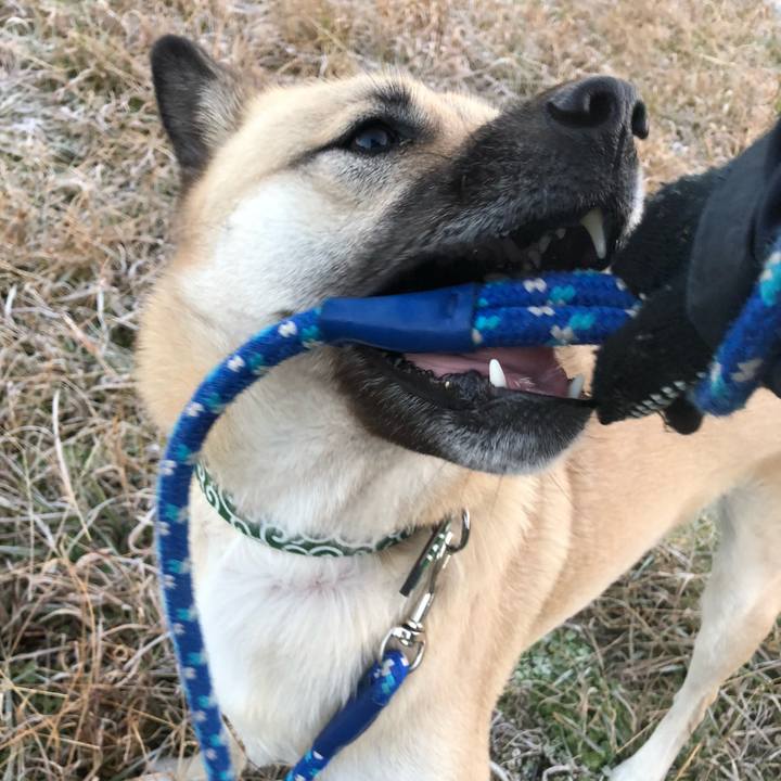 F5164a39 a744 4fe2 870b b796ef0092f7 1546602373603