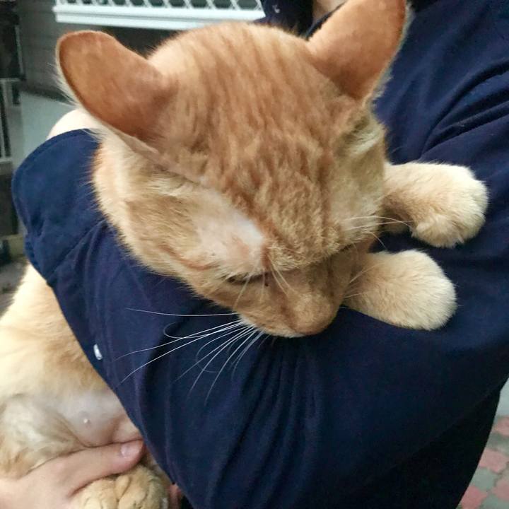 F5164ac4 6948 4b0b b944 e533babae0f0 1514536193893