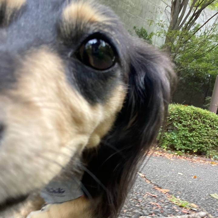 F516abc8 8af7 4bc0 b871 5a6f54e3e87a 1755817623594