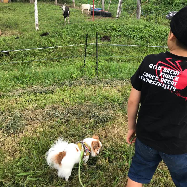 F516c21b 2283 4304 91e7 52463d03bf5a 1566013579527