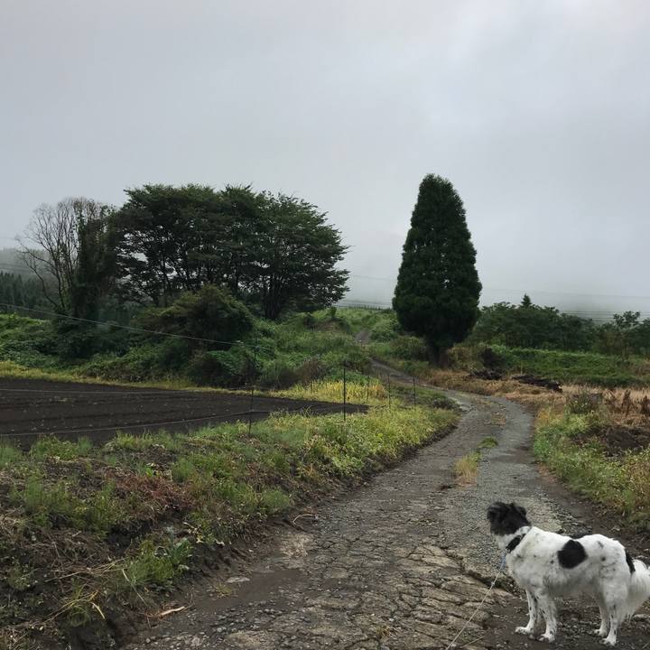 F516c2f1 a982 430c 921a 1b2d6f13da3c 1535715735346