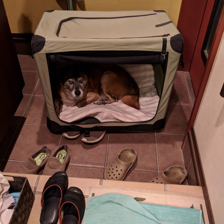 F516d21e b53e 49aa be6a 1725136a926e 1538567521730