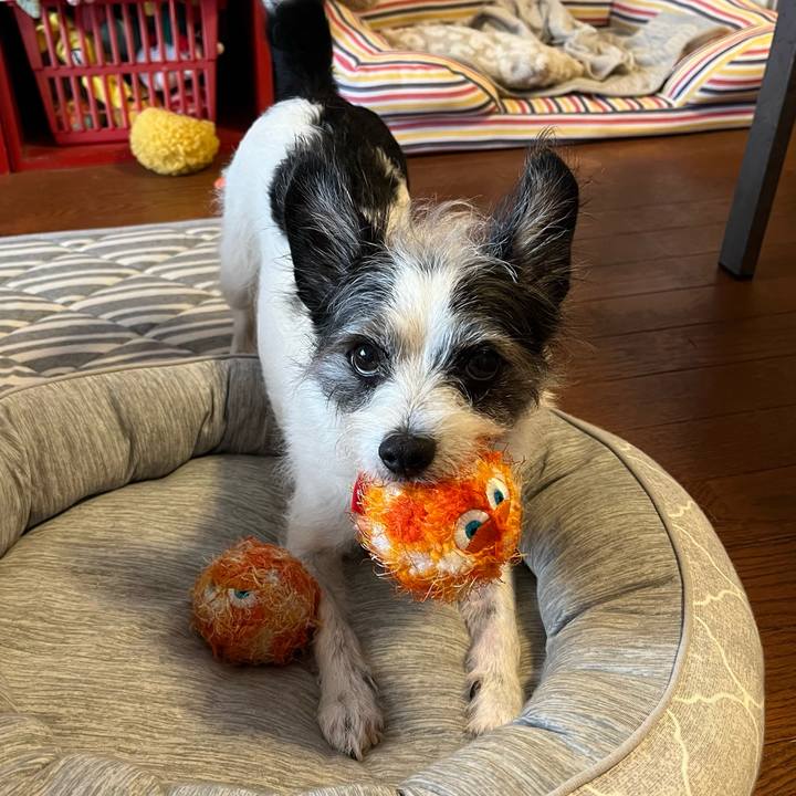 F5170b62 c069 4c52 ae3e a277bb41480d 1757211359549