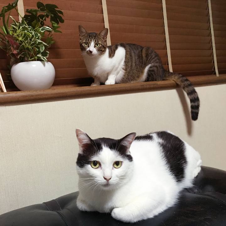 F5172350 c1cc 4036 a113 019a3183ad82 1537793757065