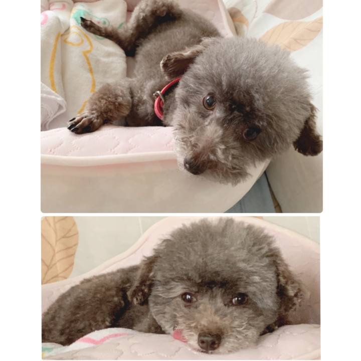 F5173122 d5b1 491c 9cfc f18421d48cff 1653542059537