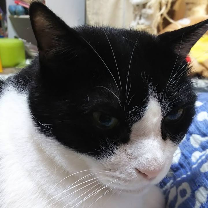 F5174379 7fda 4320 add2 637cfc17d003 1570576530351