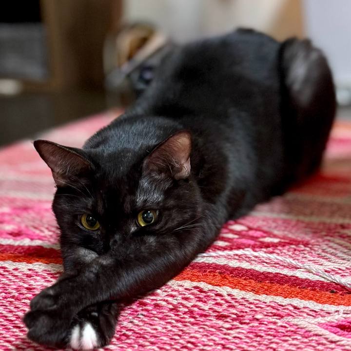 F517586f 1740 45a8 b713 bb5b4f73aaf3 1761026075003