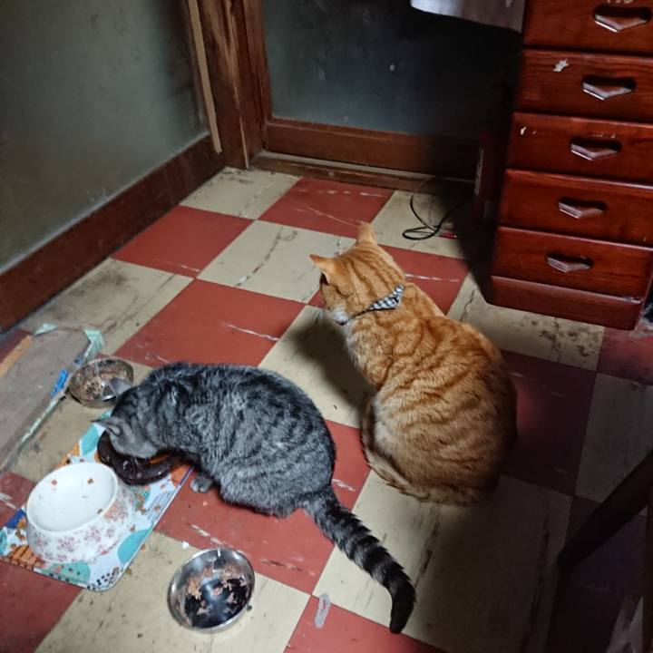 F5175dfc 2404 41e6 9324 3e963d8366e3 1576184099977