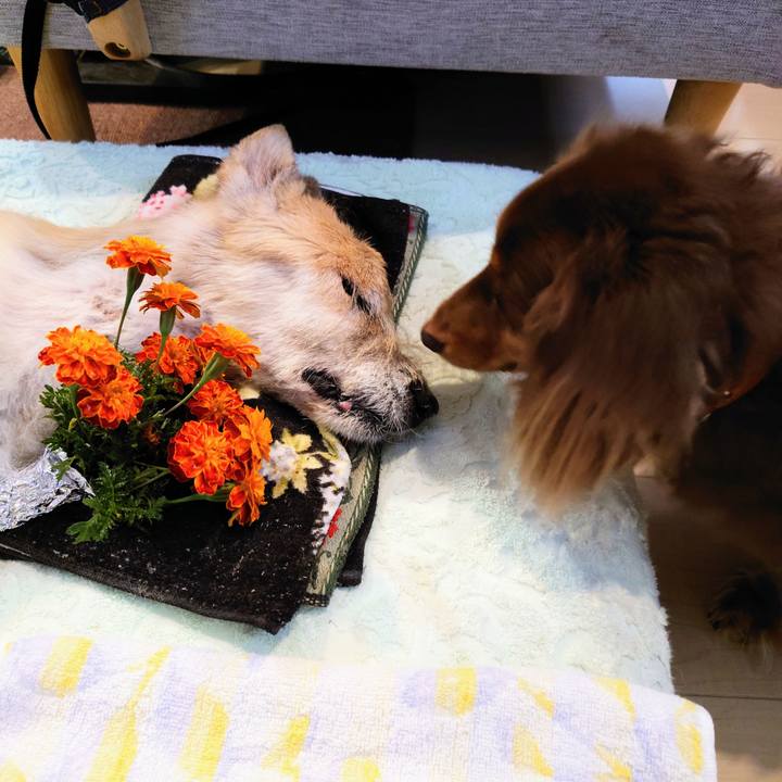 F5177727 68c4 41ef b75d 74f27922ecd5 1666570404482