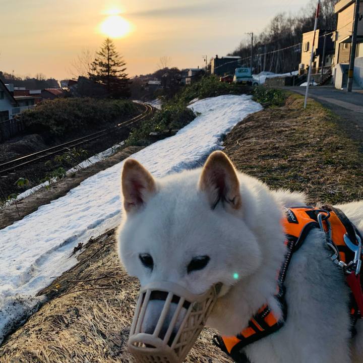 F517789e b9be 444f b8ca 90e8b14301ff 1617744125208