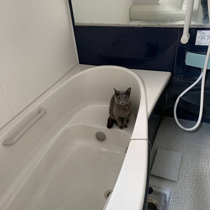 F517a40c 0b4f 4dc5 b353 10ad7a1d12ed 1647433182959