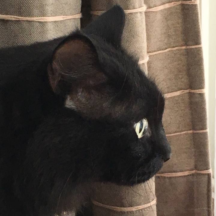 F517b1ba 399f 4ce4 b5de 9b691f3e4e82 1539568366282