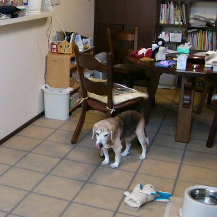 F517e076 328f 4c24 8356 04f3c345b35b 1687826457799