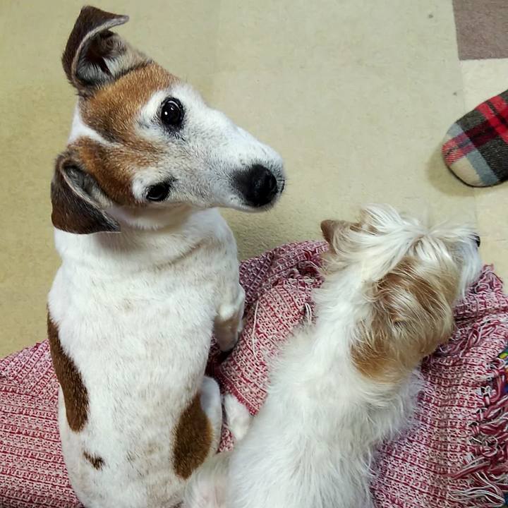 F51821ab 4323 44fc a207 a25cf611b9ce 1550662723637