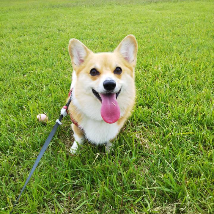 F5182ccc 6ac0 4e71 8067 48cb12d144cf 1569683479975