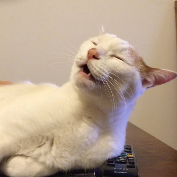 F5182e7f 51e6 497a 85a2 7119f96038d3 1552694524172