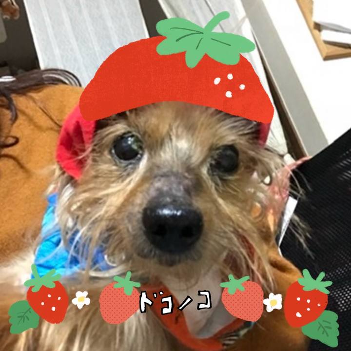 F51839fb a322 4caa ad9a 3ffefc7ca586 1775192420595