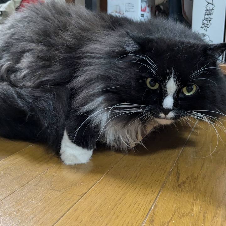 F5184925 9964 418b bff2 7693fbbd9dd5 1725718209818