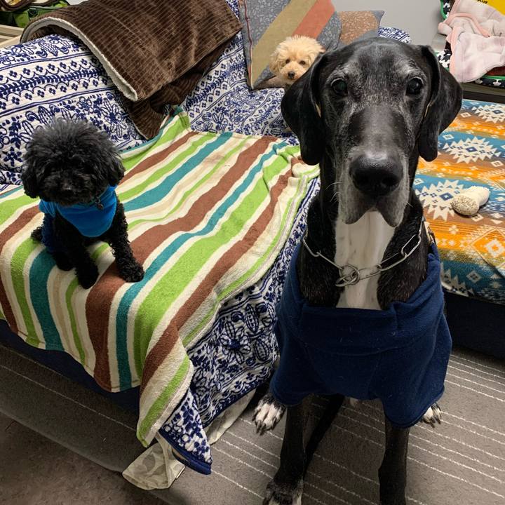 F5186850 78cf 45c2 b00e 25f5e61fb380 1579214824901