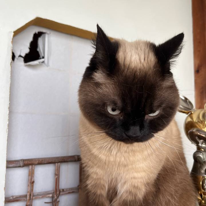 F5186f10 3470 4e7b 9a1a e8d68e16e2cf 1718413575949