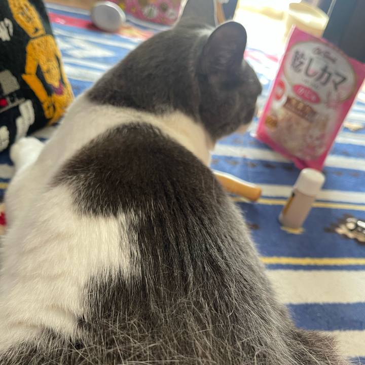 F5187f55 0499 4f27 ade3 3877a78c2670 1666490669764