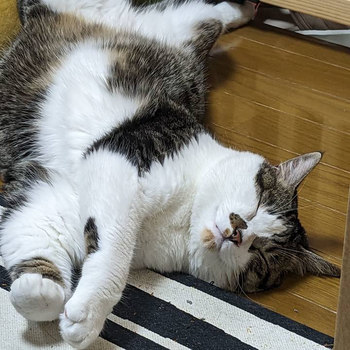 F5187fc1 367d 46a1 89f5 ab806a911b9b 1692708822208