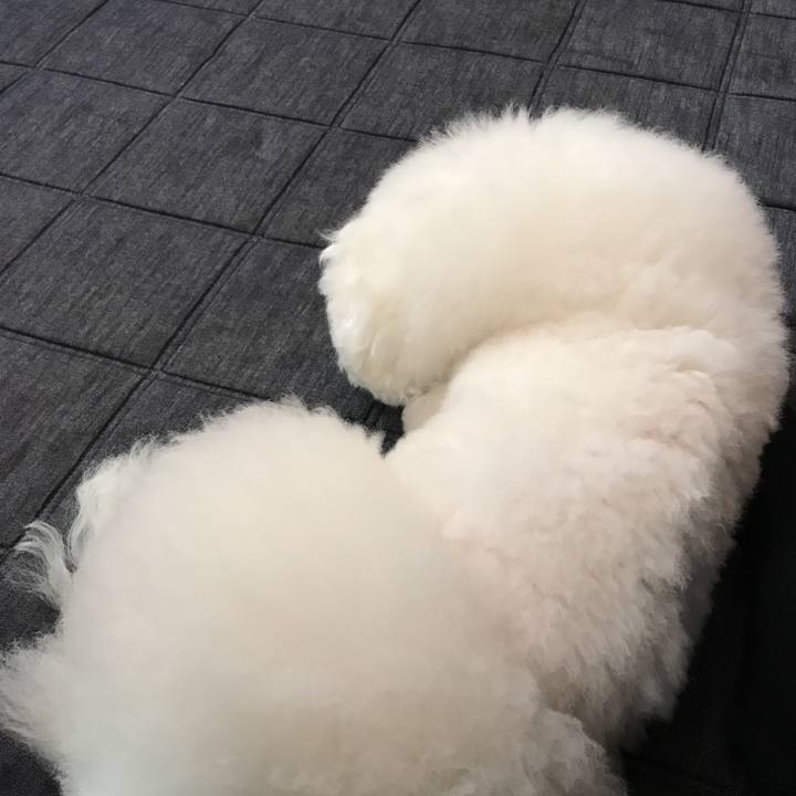 F518832b 4ab1 44e4 b44d 985afed58a01 1559620082259