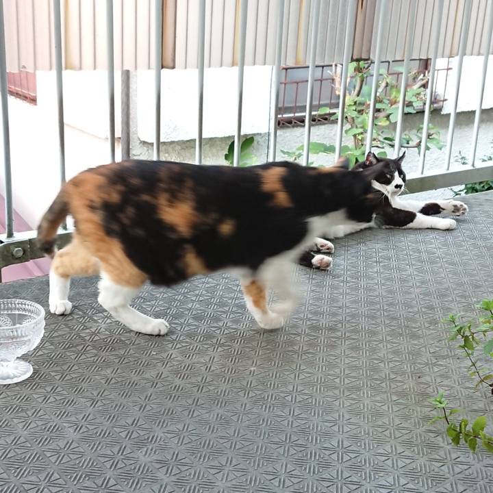 F518a54a bbe2 433a ba09 7fd741fcb808 1632384756850