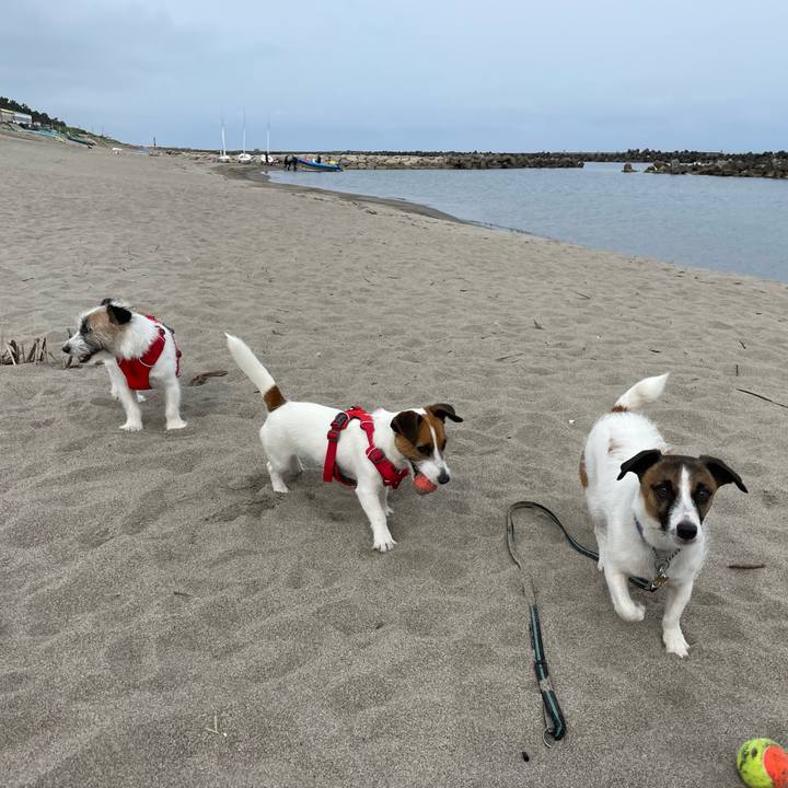 F518b5b2 2d3b 4a40 a7d8 c917874b174a 1654910553707