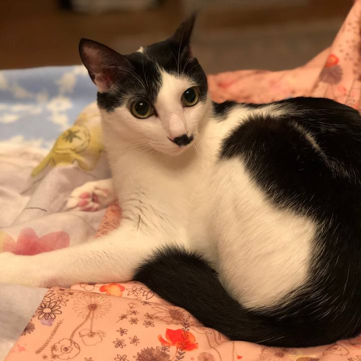 F518c3e2 2dfc 4cc5 9263 ccfcb88fdb13 1537960306388