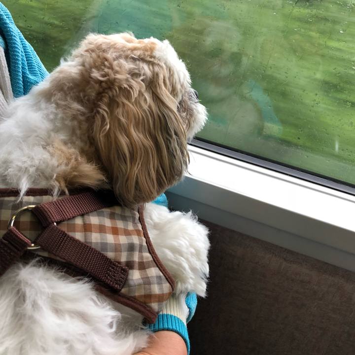 F518e6a2 8913 4cbd 9edb 9543b215a589 1536958386278