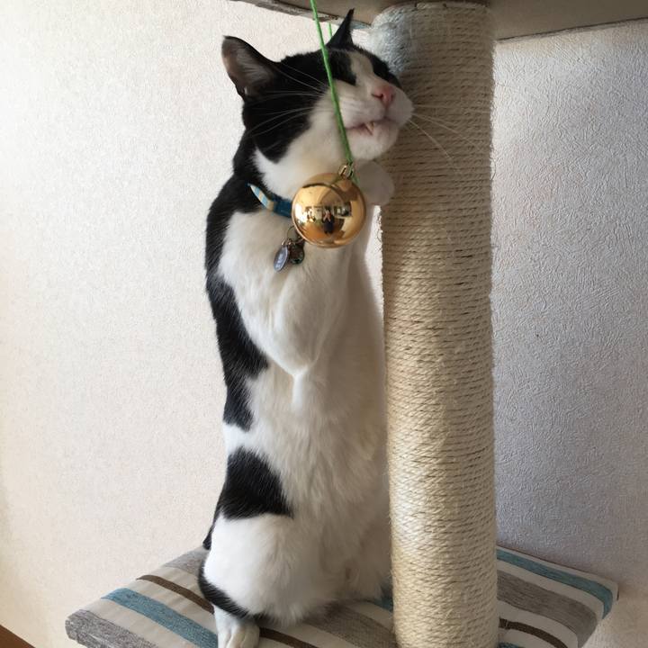 F518e6cc 22e8 47da 8a7b 4ed43c25fe8c 1513772406782