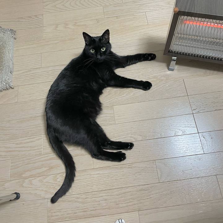 F5190d60 2b32 4bfc 8e29 d9da3c7c7e62 1645105606500