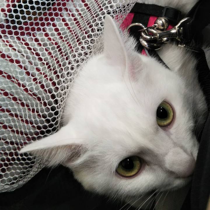 F5190d75 f3c6 457c 8b8f d8d27b23a25a 1635324390298