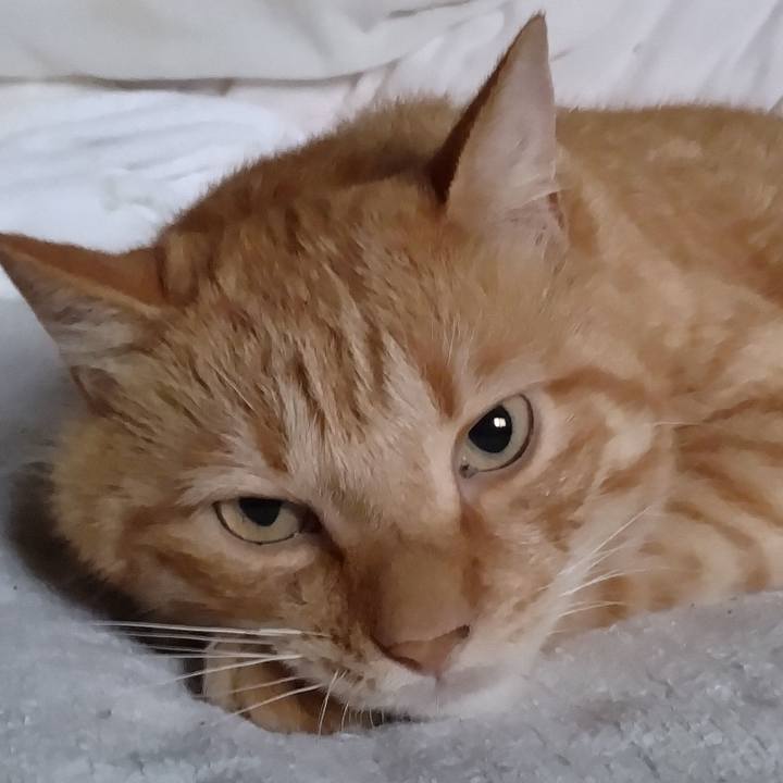 F5190f31 de69 4d62 8360 b3b219e19ebc 1722031875565