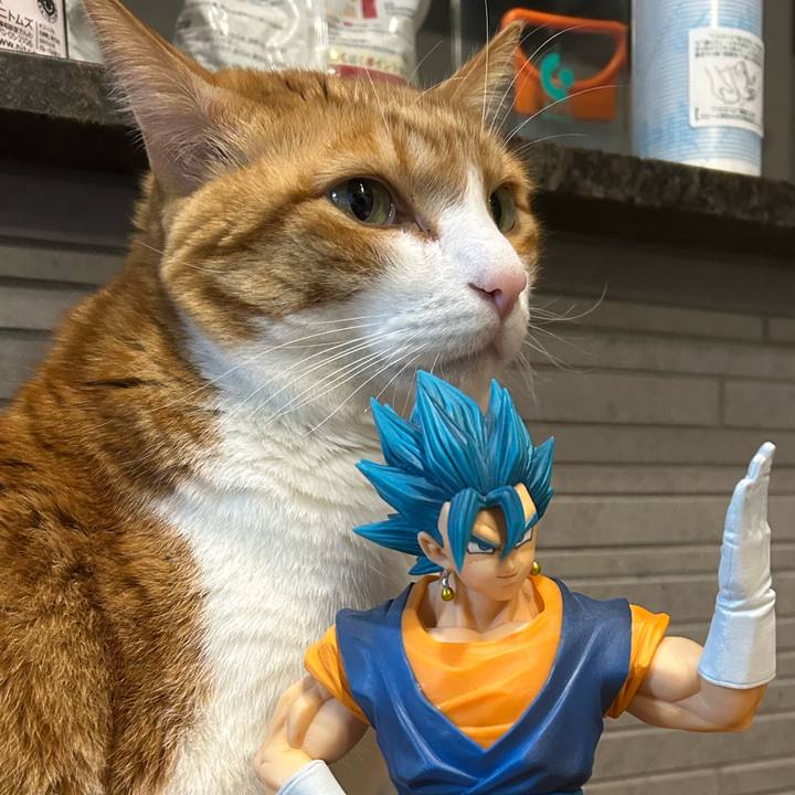 F51939a8 8d3f 4f9b 8667 09f83fdd52bd 1764588724144