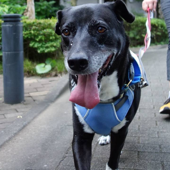 F5193e5f a469 4ef5 b22f 12642442a046 1721954705657