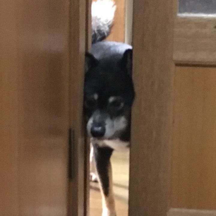 F5199632 dd61 4389 bc0e e0cf27449d78 1513340054290