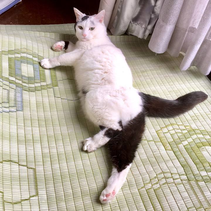 F519df01 1fec 456c 9b2a e95f93d3bdb9 1581923459144