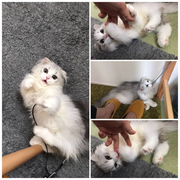 F519f28b bc82 47fa 91d8 9817de993d61 1597372928676