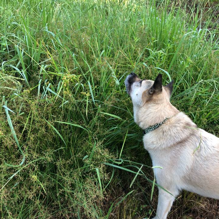 F51a0fb1 4762 4d4d bbdc 56537b534005 1597839613280