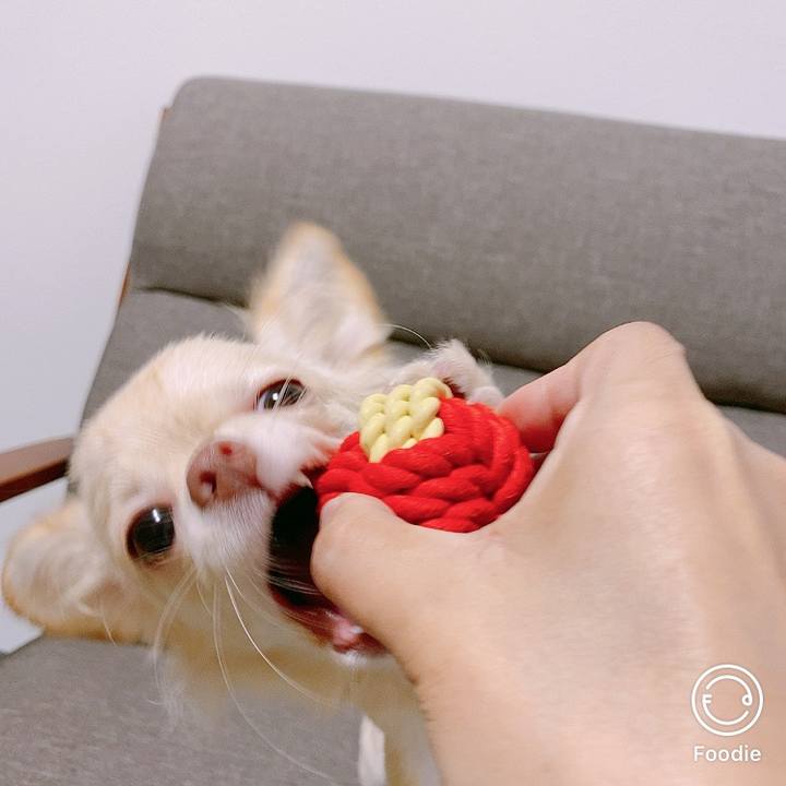 F51a3818 0463 4d48 835b 6fcf9c6563dd 1602150579345