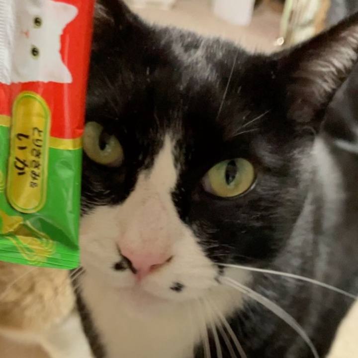 F51a53b7 633d 4a25 9c3e ad11cc0defa2 1741340200832